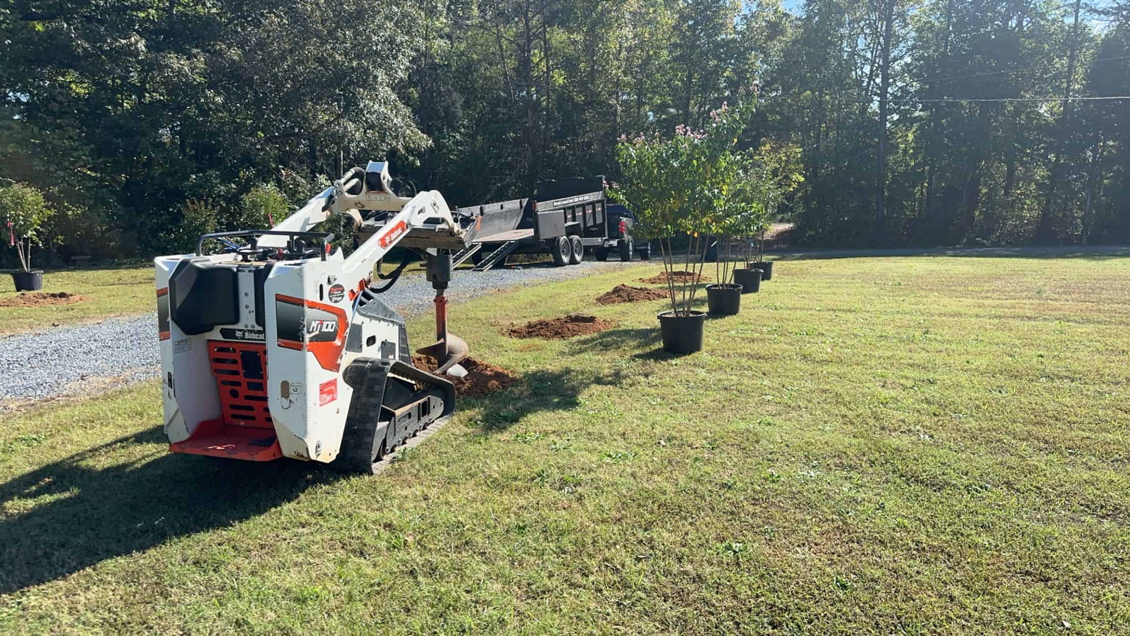 Tree and Shrub Planting image