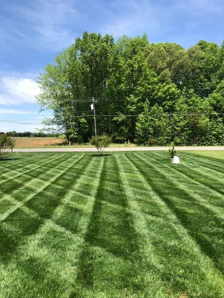 Why Your Fescue Lawn Needs a Lime Treatment Before Fall image