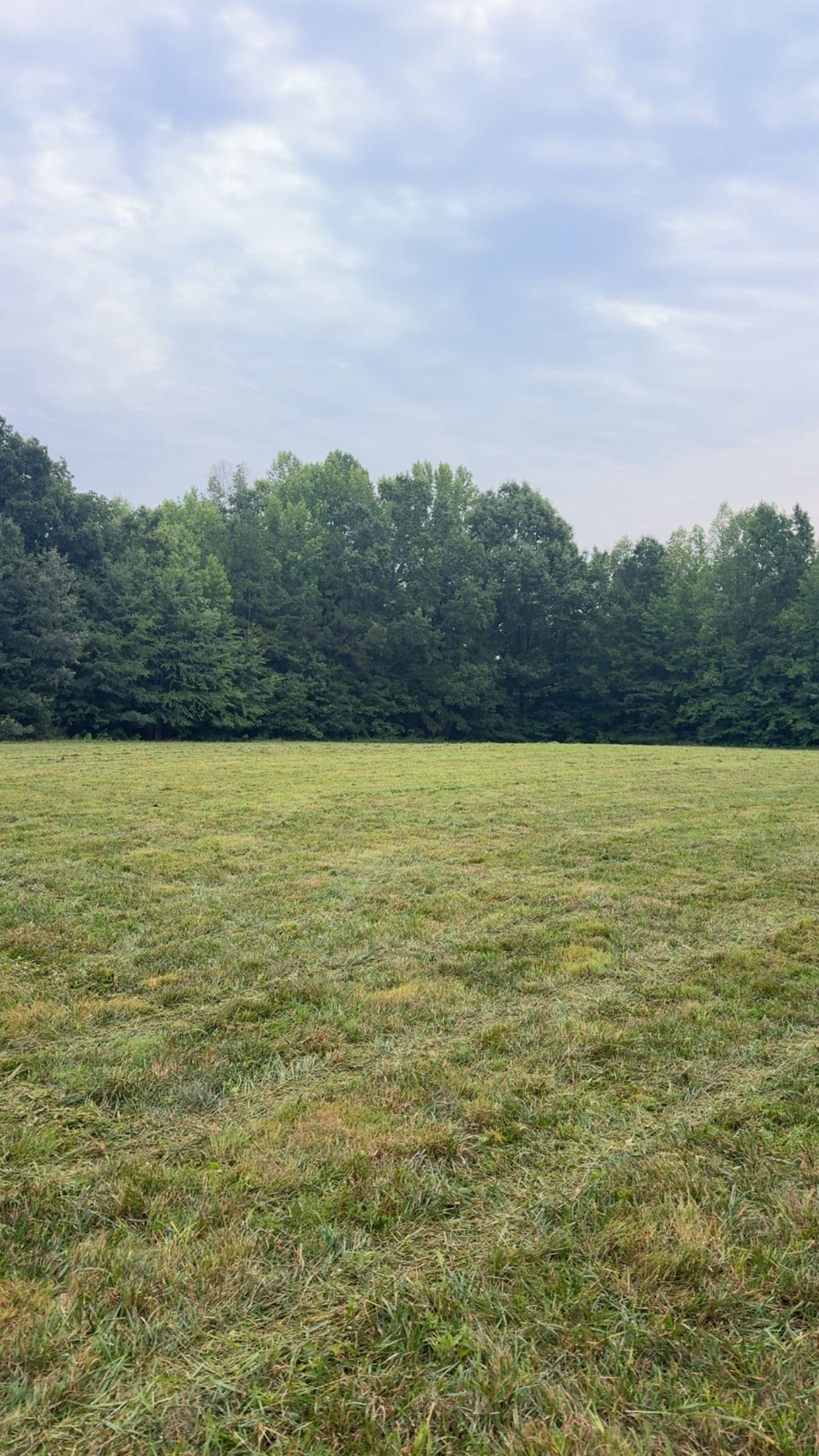 Gallery photos for Overgrown Fields Don't Stand a Chance Against Our Bush Hog: Image #1