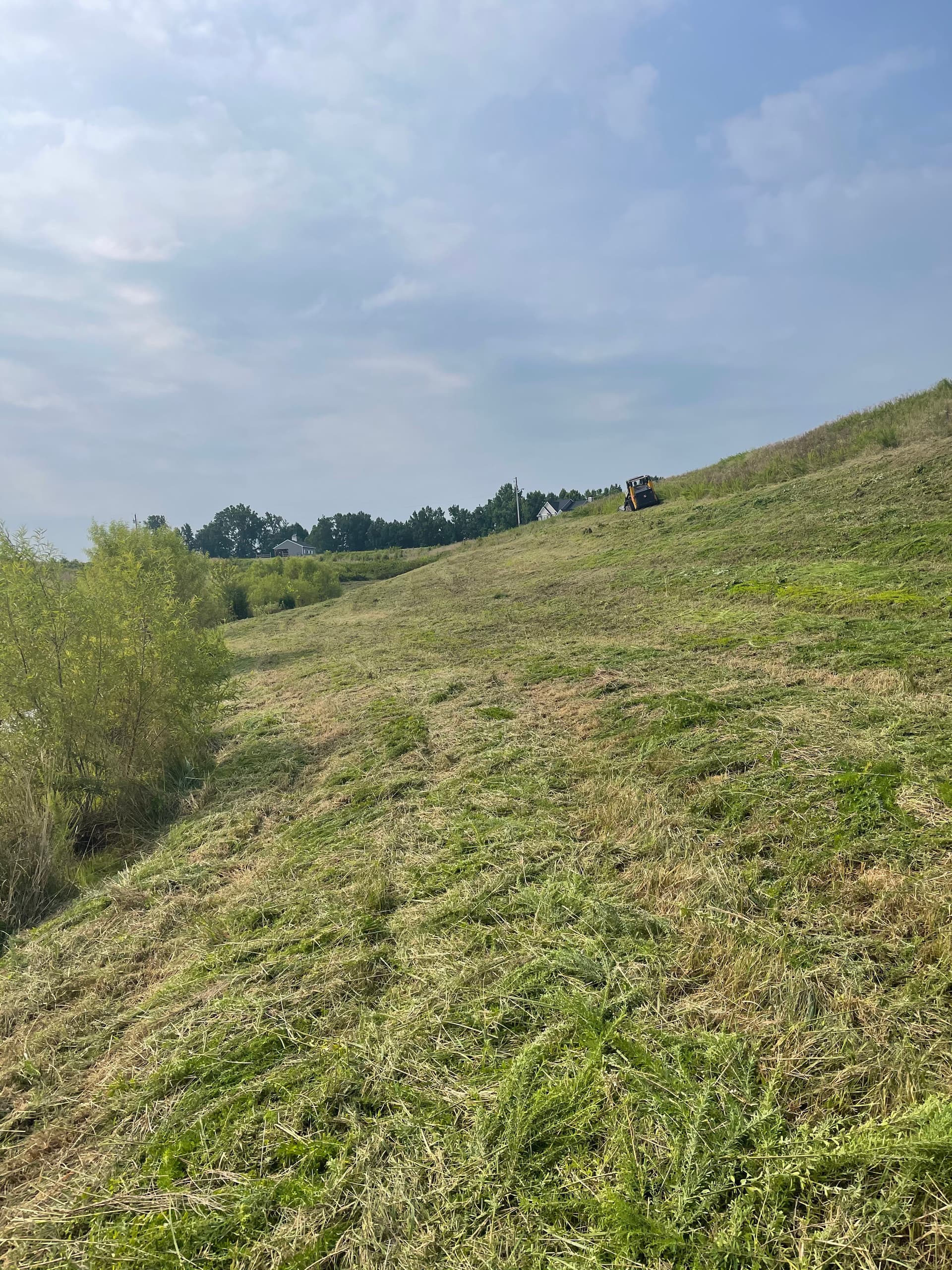 Gallery photos for Professional Bush Hogging for Fields, Lots, and Acreage: Image #1