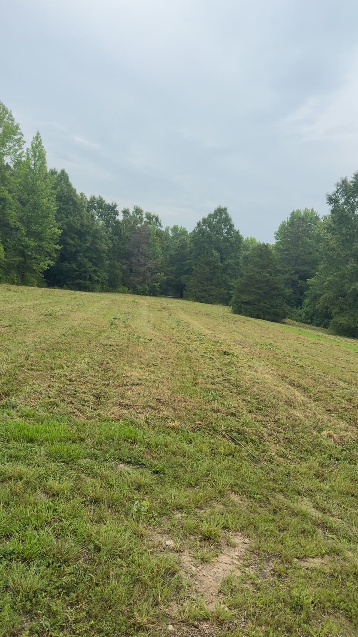 Gallery photos for Overgrown Fields Don't Stand a Chance Against Our Bush Hog: Image #3