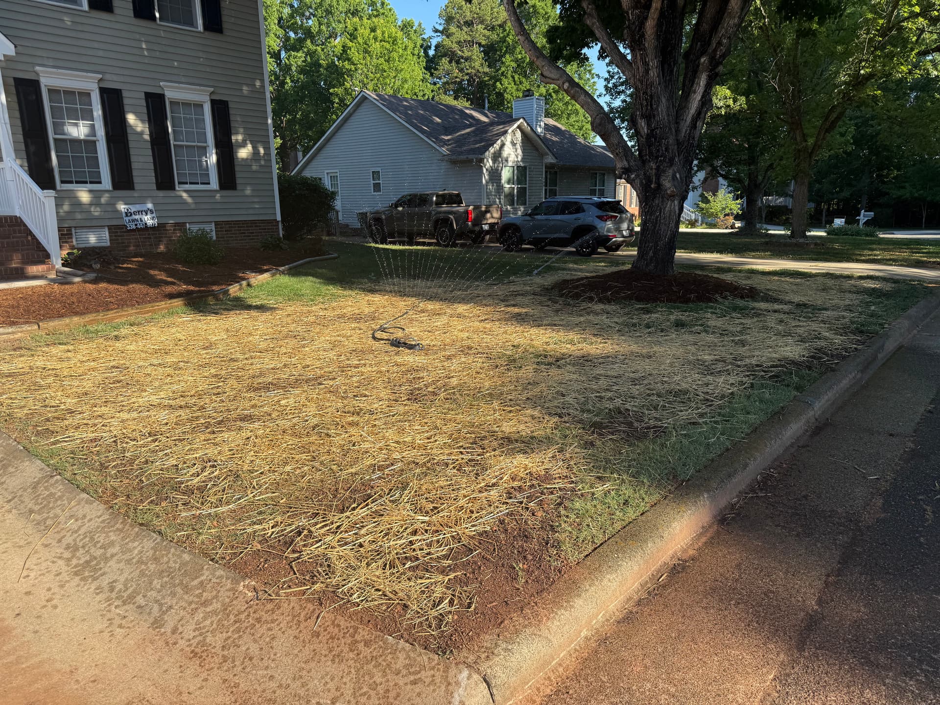 Lawn Leveling, Top Dressing, and Seeding in Gibsonville image