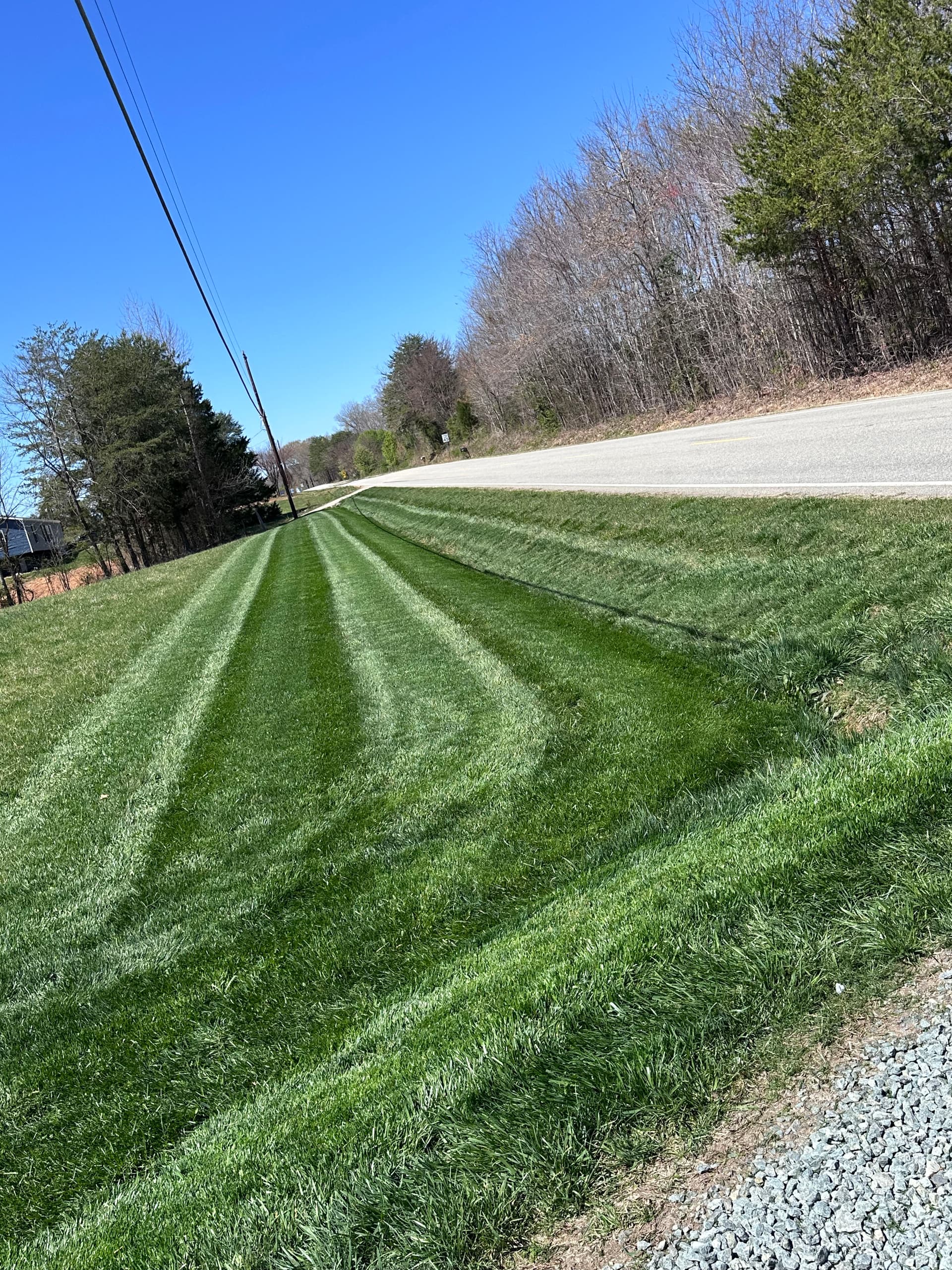 How to Keep Your Fescue Lawn Alive Through a North Carolina Summer image