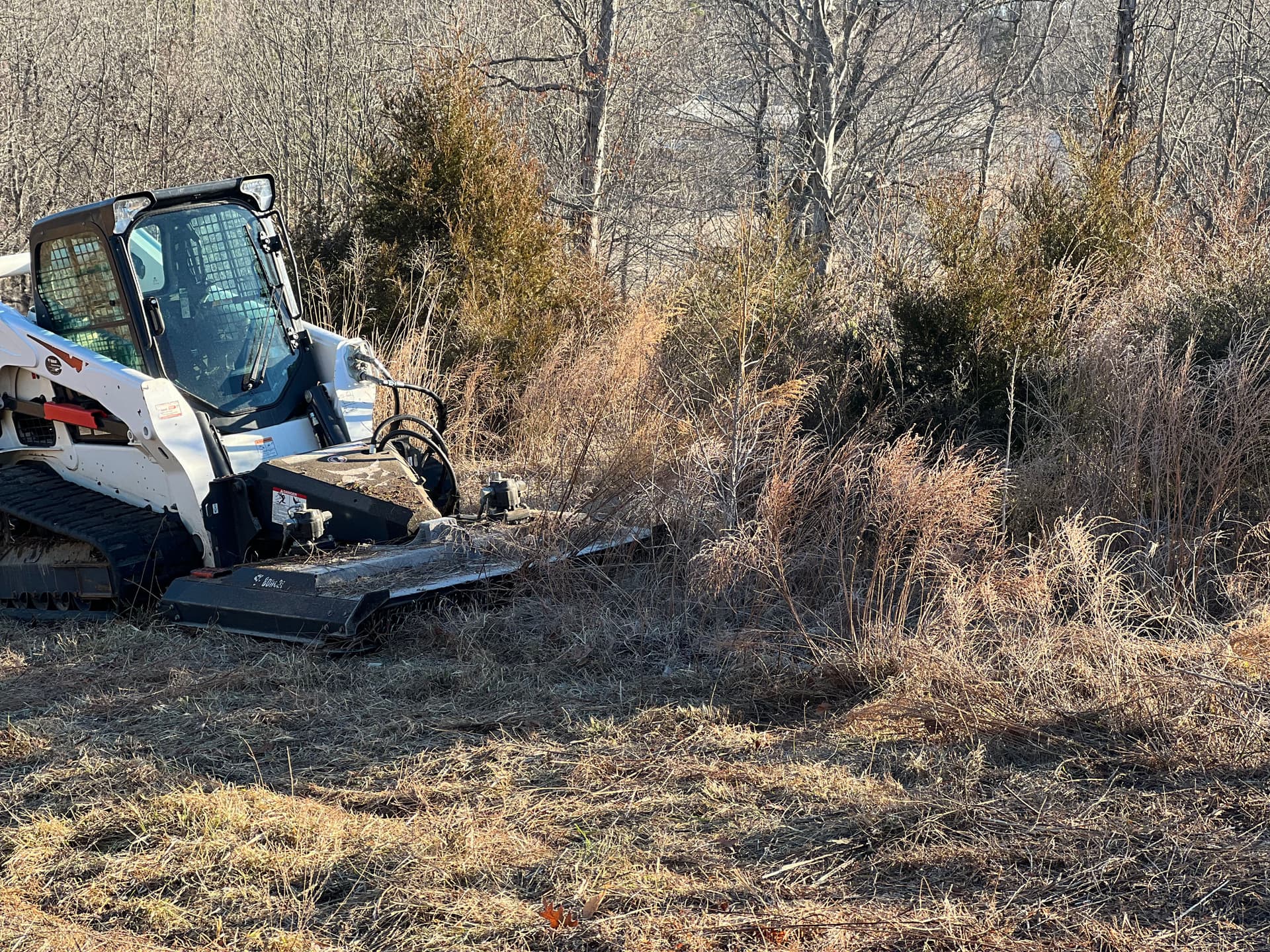 Achieving a Pristine Property with Expert Bush Hogging image