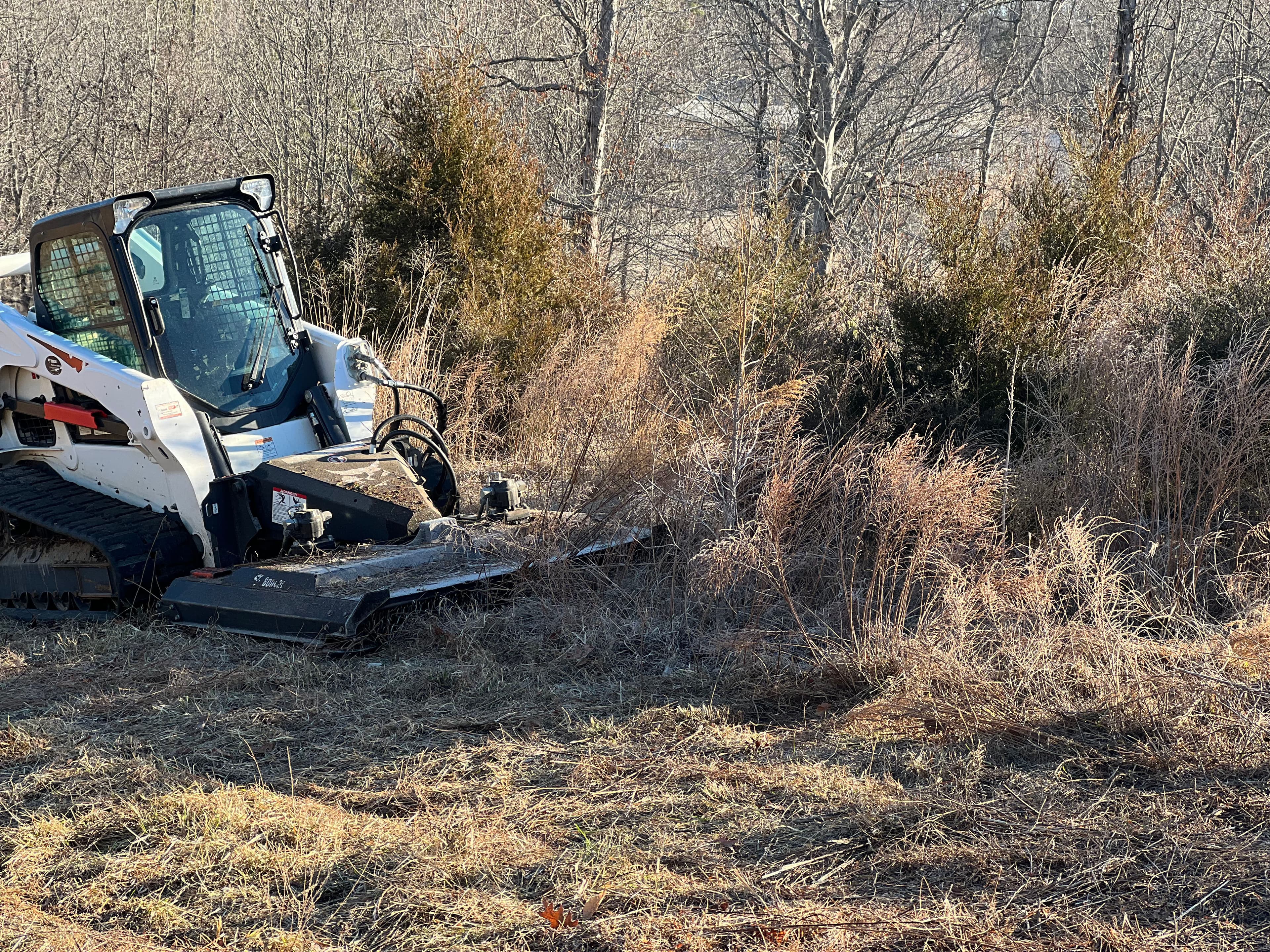 Project Achieving a Pristine Property with Expert Bush Hogging image