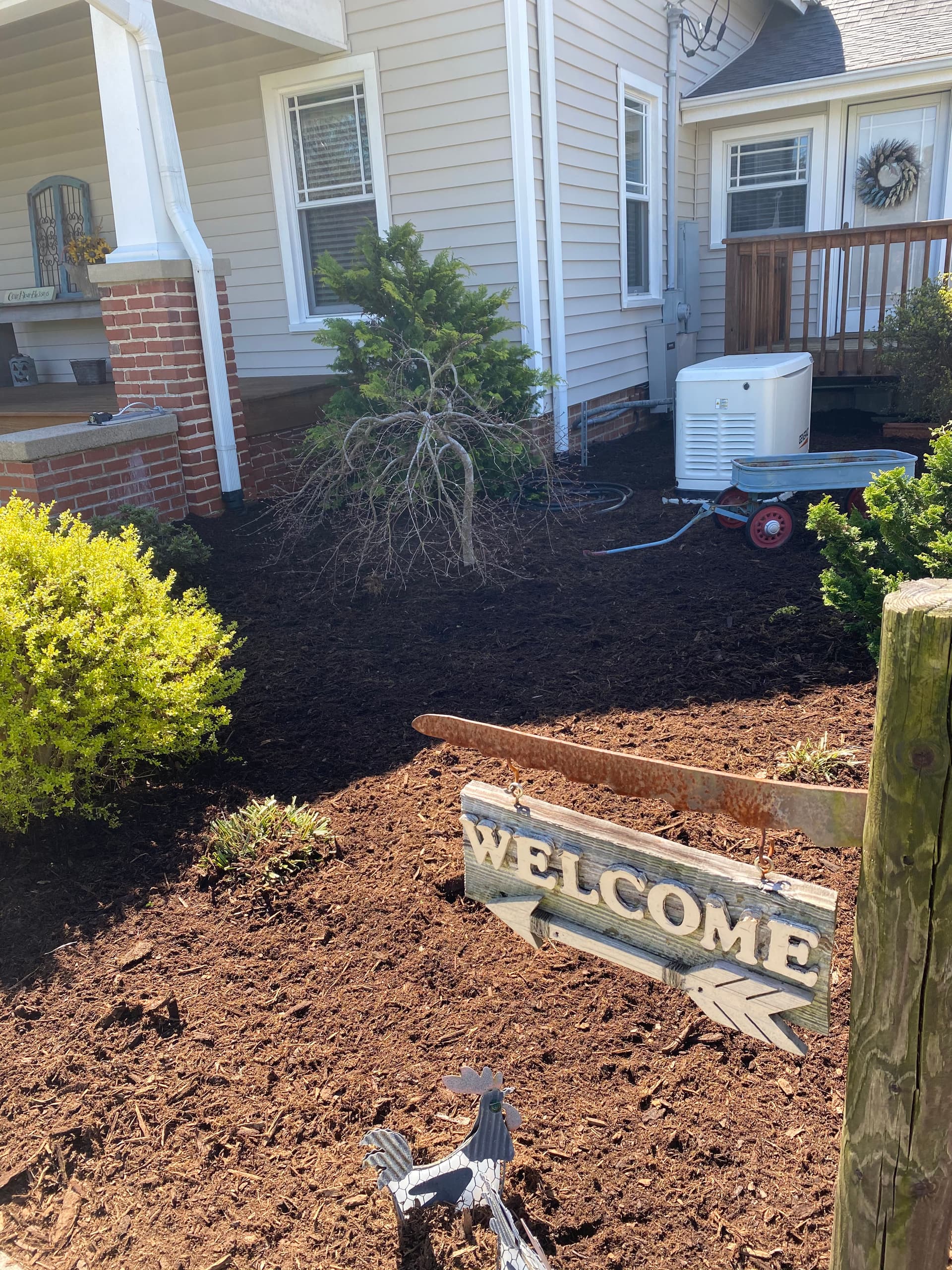 Gallery photos for Transform Your Outdoor Space with Berry's Precision Landscaping: Image #8