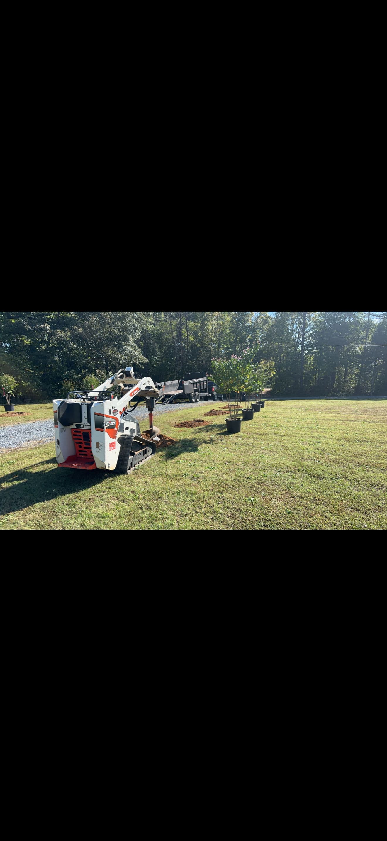 Professional Tree Installation That Sets Roots for the Long Haul image