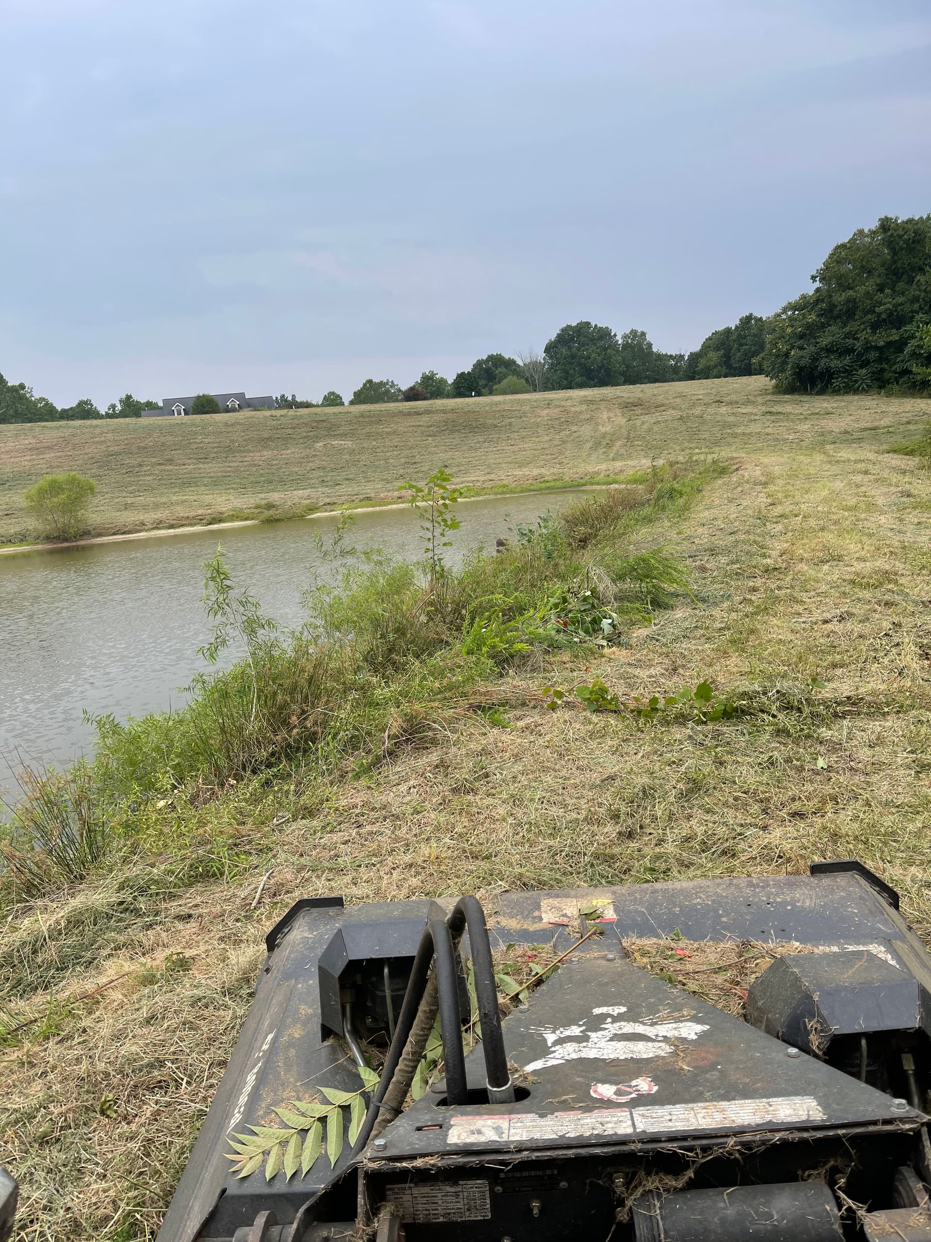 Professional Bush Hogging for Fields, Lots, and Acreage image