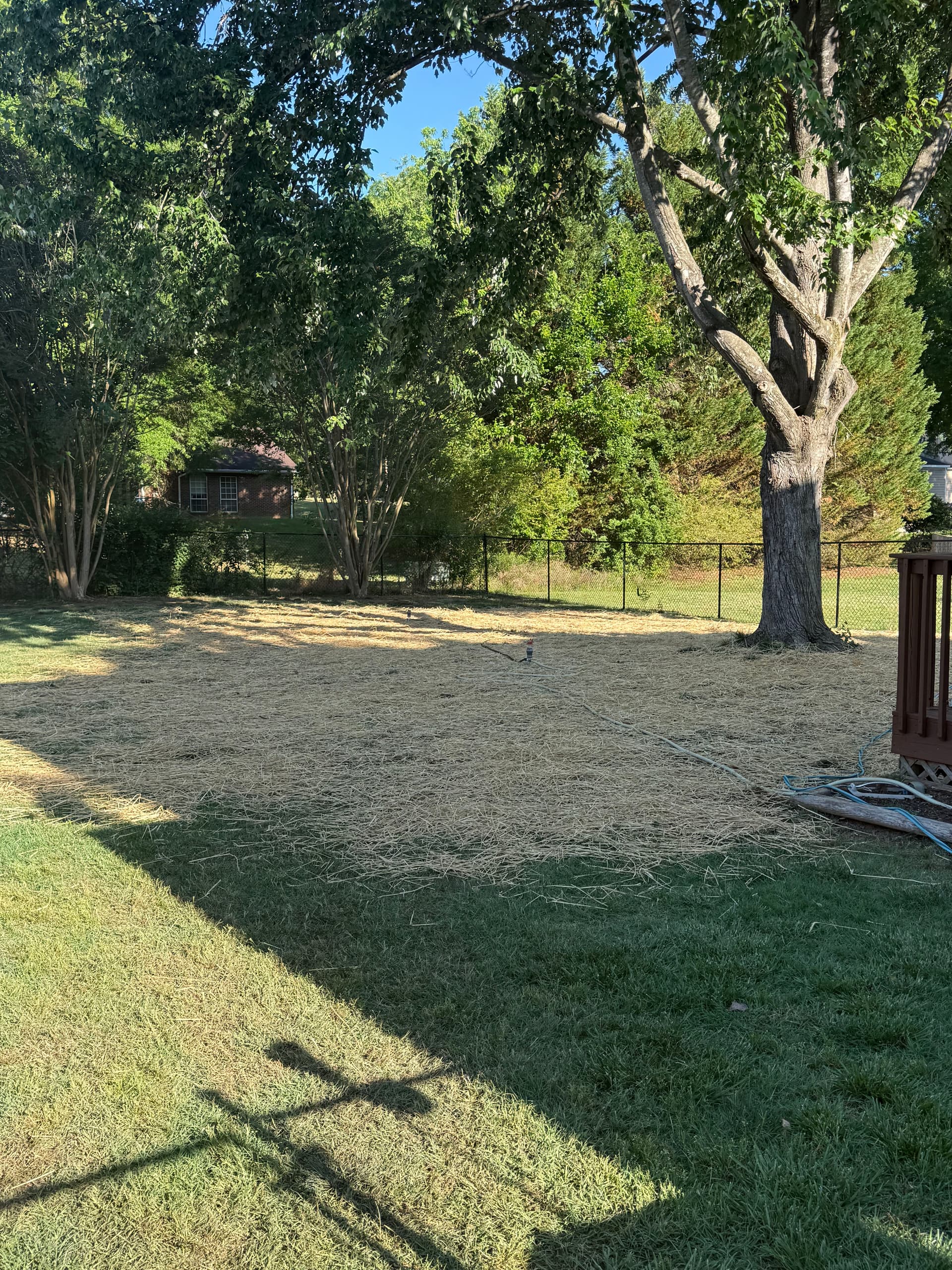 Gallery photos for Lawn Leveling, Top Dressing, and Seeding in Gibsonville: Image #2