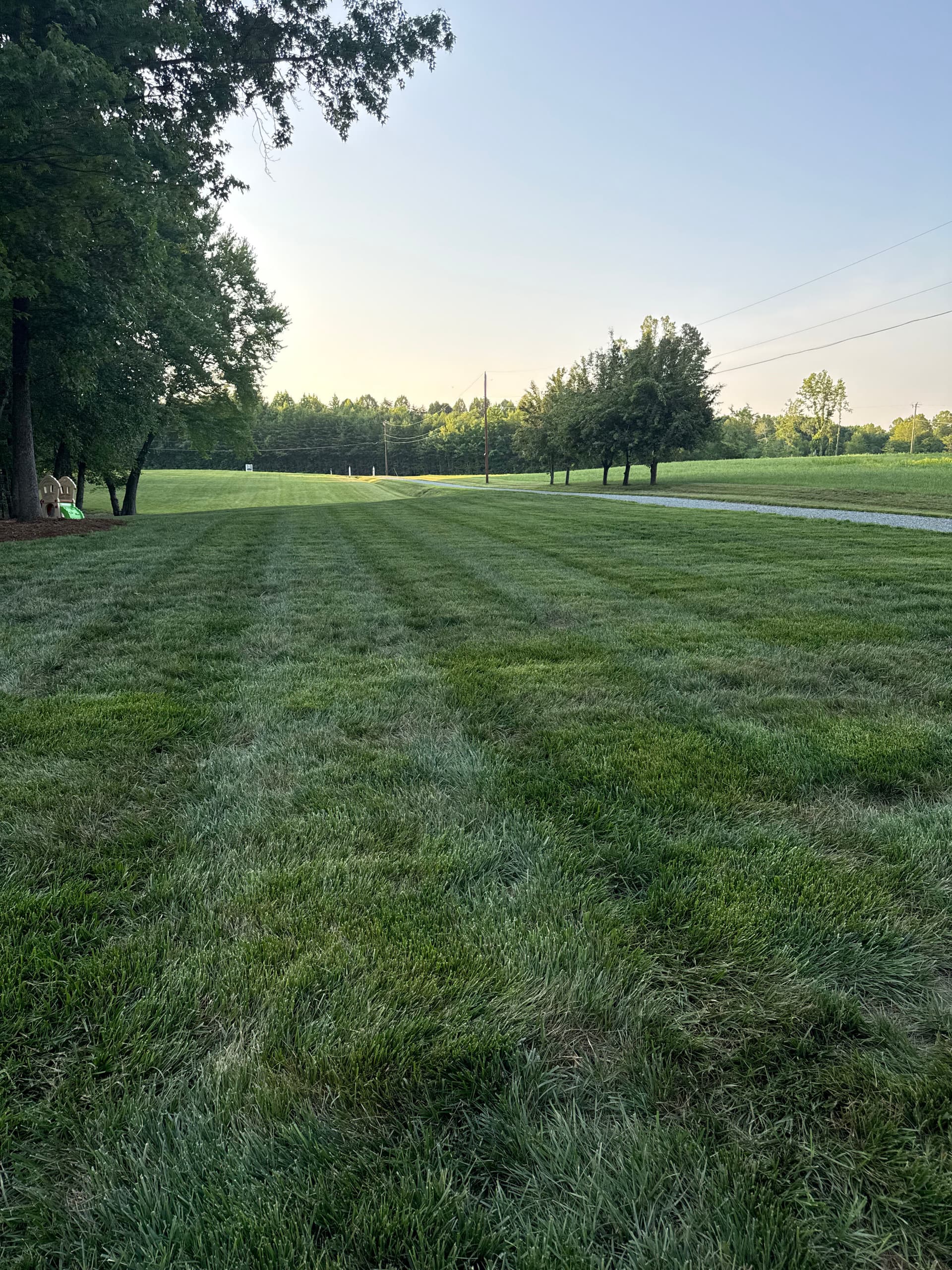 Gallery photos for Why Your Fescue Lawn Needs a Lime Treatment Before Fall: Image #1