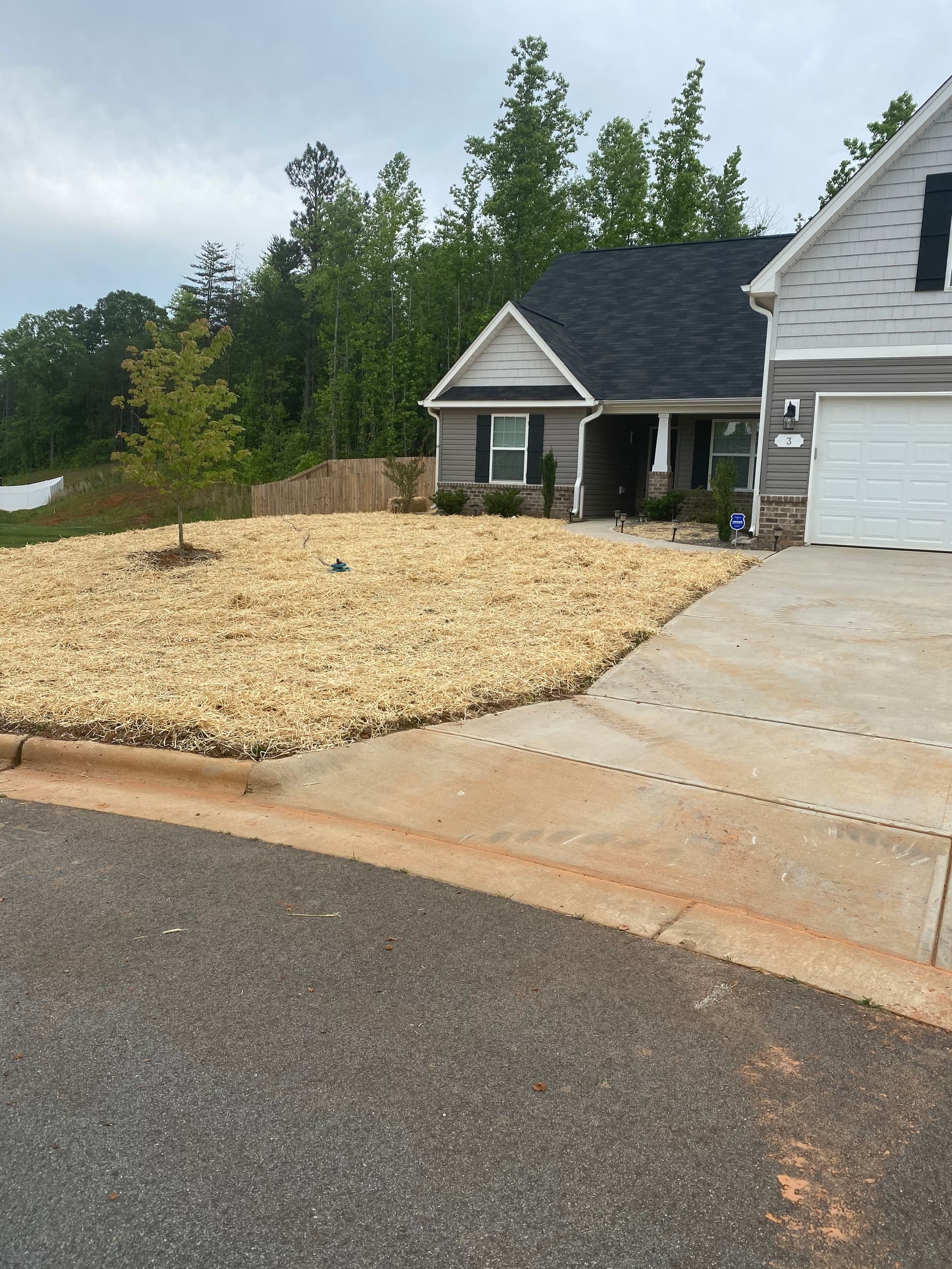 New Construction Lawn Seeding Done Right image