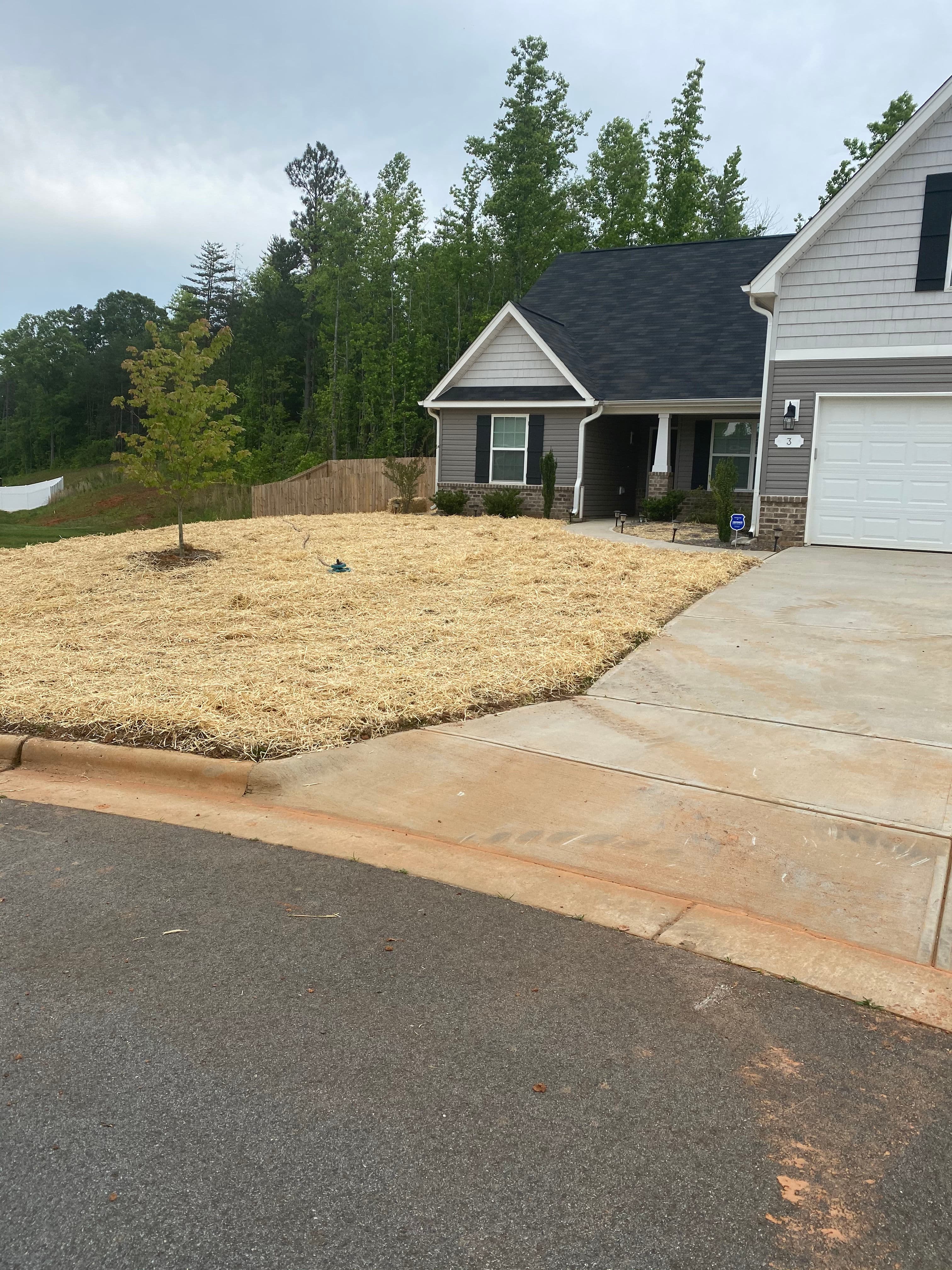 Project New Construction Lawn Seeding Done Right image