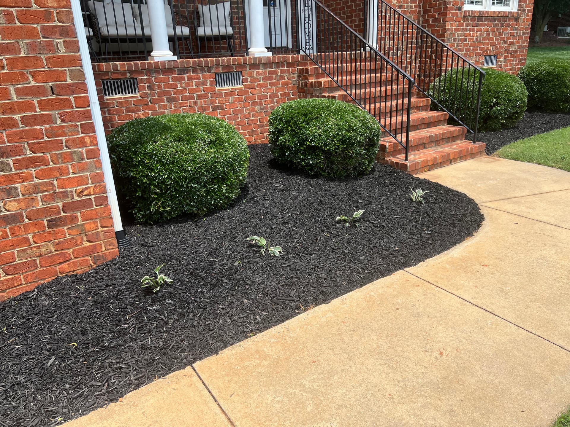 Gallery photos for Transform Your Outdoor Space with Berry's Precision Landscaping: Image #3