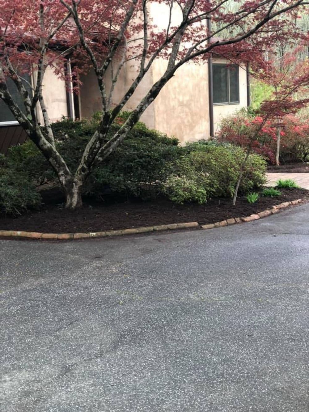 Landscaped driveway with mulched flower beds and a maple tree near a residence.