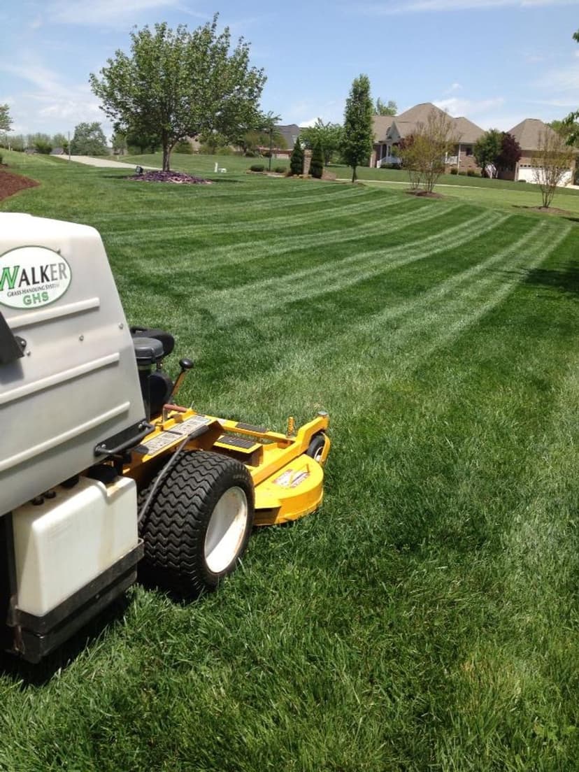 Lawn mower in action on a well-manicured green lawn with houses in the background.