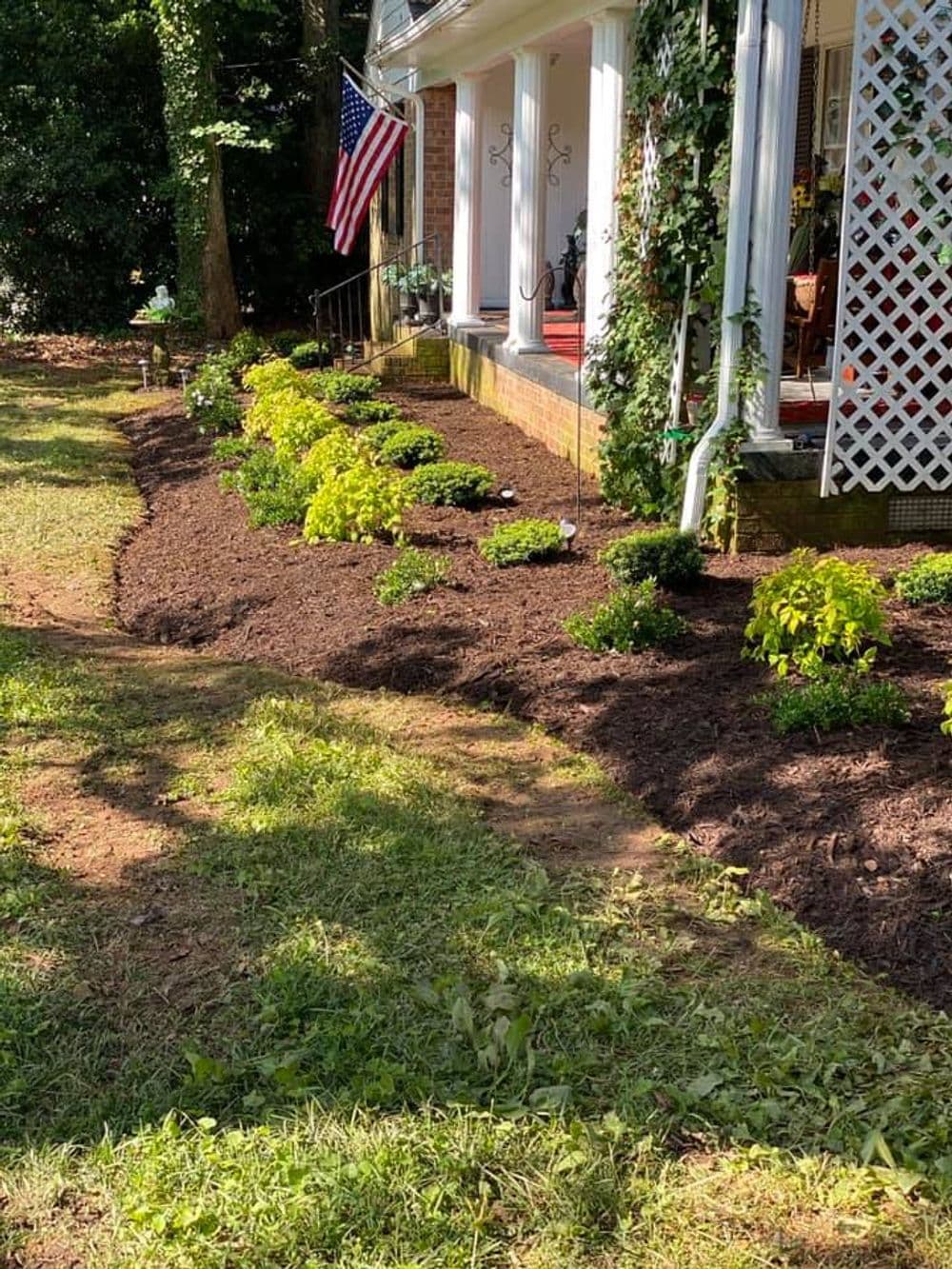 Lush landscaped yard with shrubs, mulch, and an American flag by a charming home.