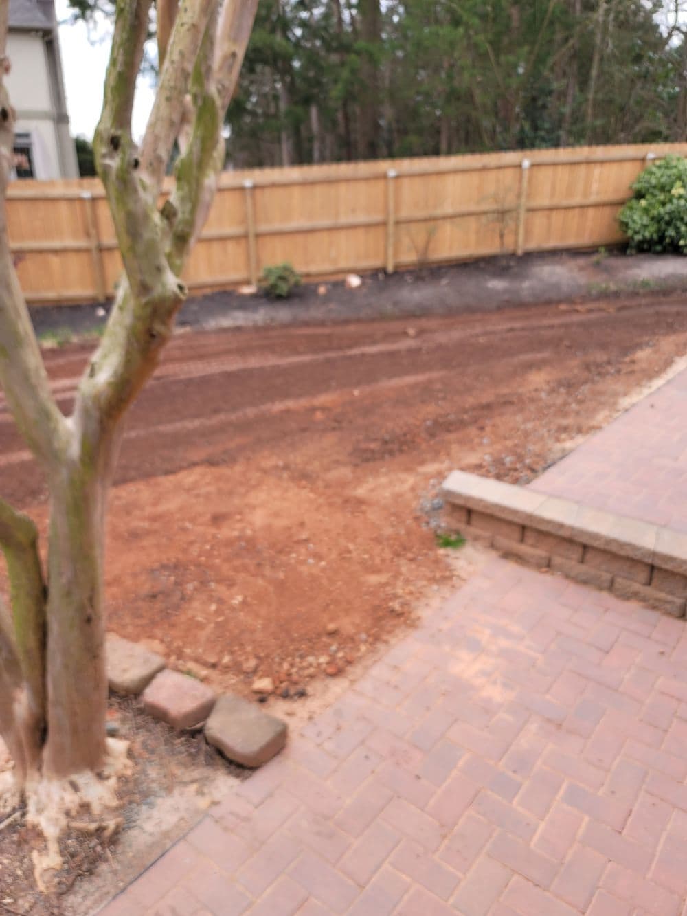 Dirt path in a yard with a tree and stone edging, surrounded by a wooden fence.