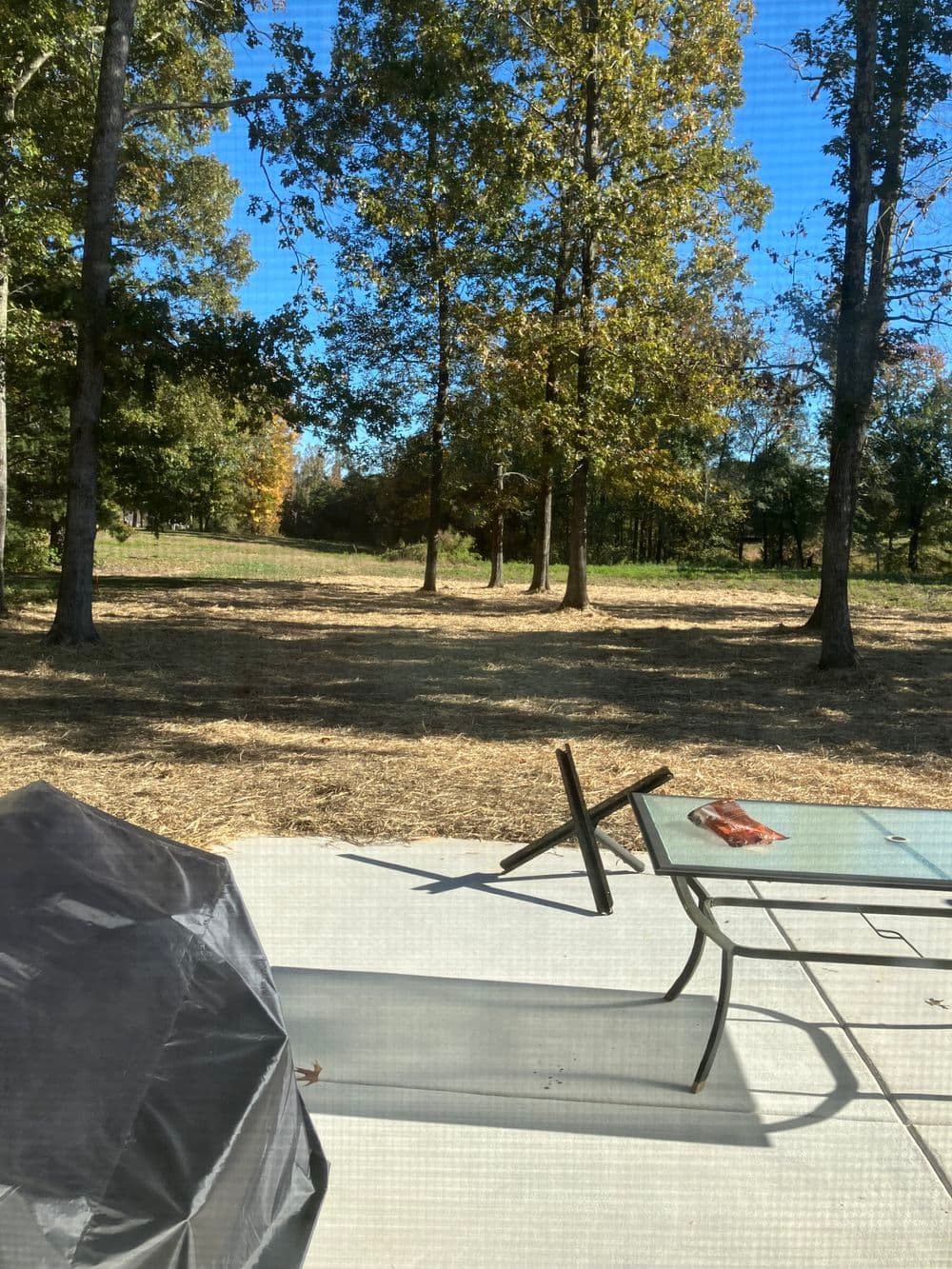 View of a sunny outdoor patio with a table, grill cover, and wooded landscape beyond.