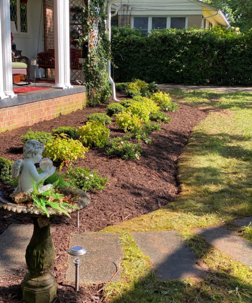 Garden bed featuring lush green shrubs and a decorative birdbath in a residential landscape.