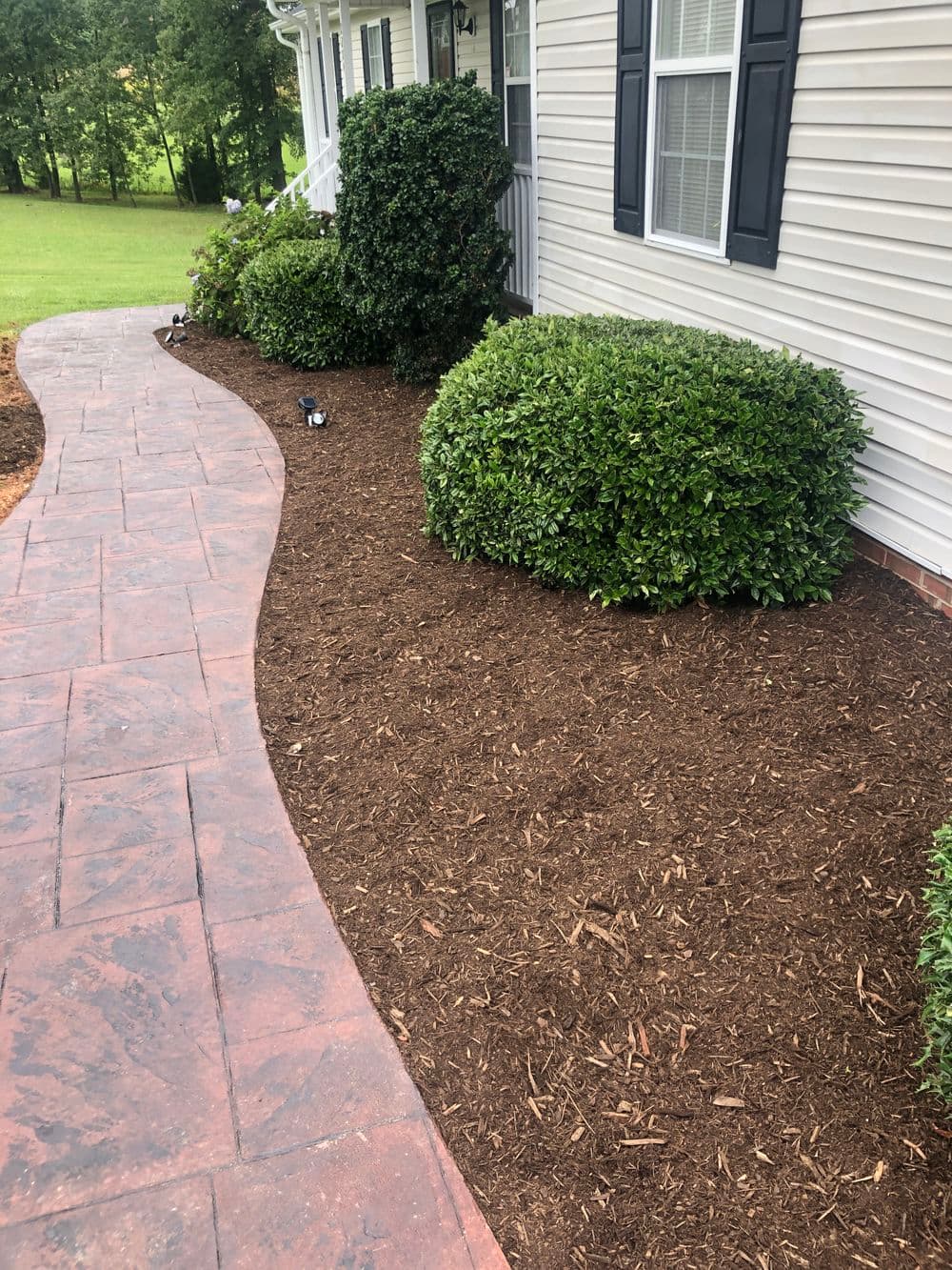 Curved pathway lined with shrubs and mulch in a landscaped yard.